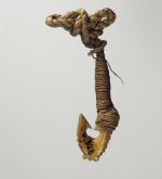 Fishhook matau Fishhook made of bone with serrated outer edge and twisted cord.