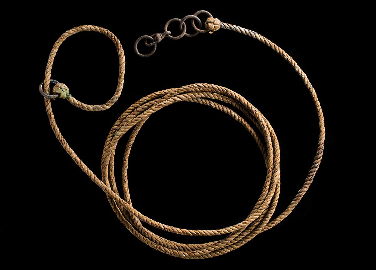 Bullock-hide rope with metal rings attached and arranged in a pleasing loop.