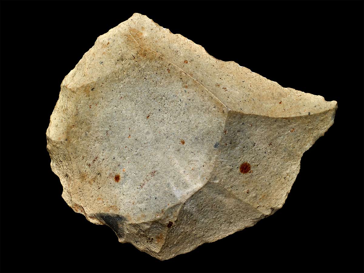 An off-white stone artefact with flaked edges.