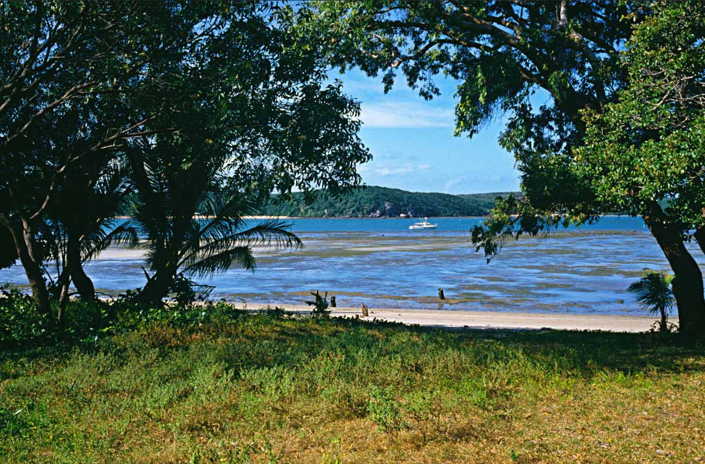 A landscape image showing green foliage leading up to a beach, with mountains in the distance.