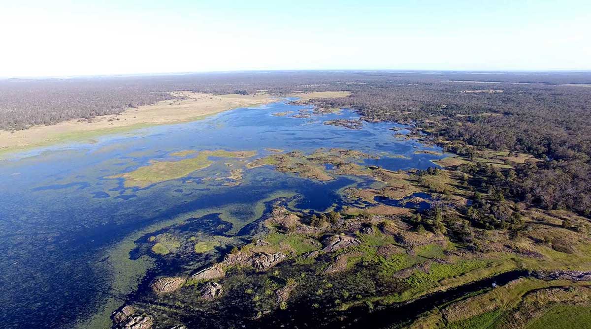 Aerial view of a landscape with a sprawling lake.