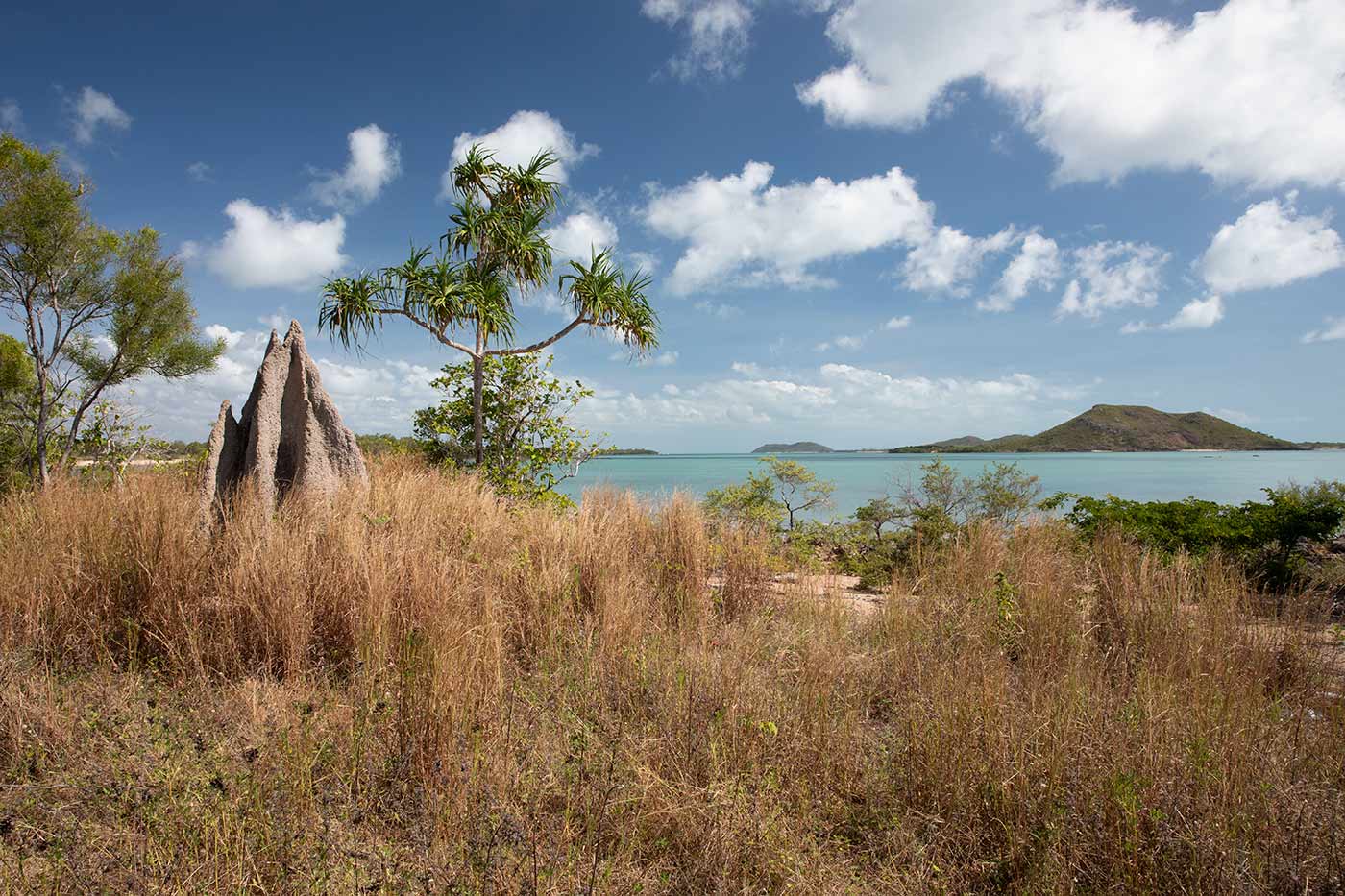 Grassland and a tall anthill in the foreground, looking across the ocean to a low-lying island in the distance.