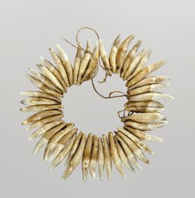 48CA90WVCK.jpg Necklace made from dog teeth and strung together on a cord consisting of a plant material.