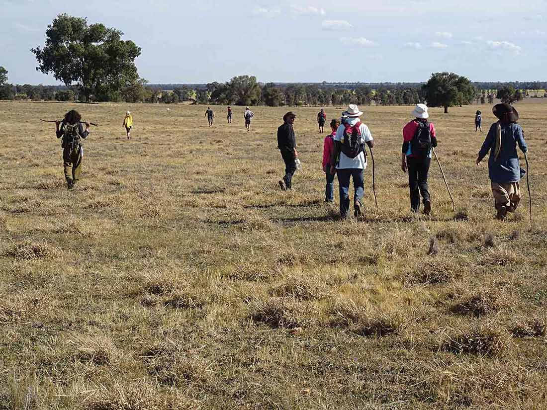 Walkers stretched out across flat grassy country