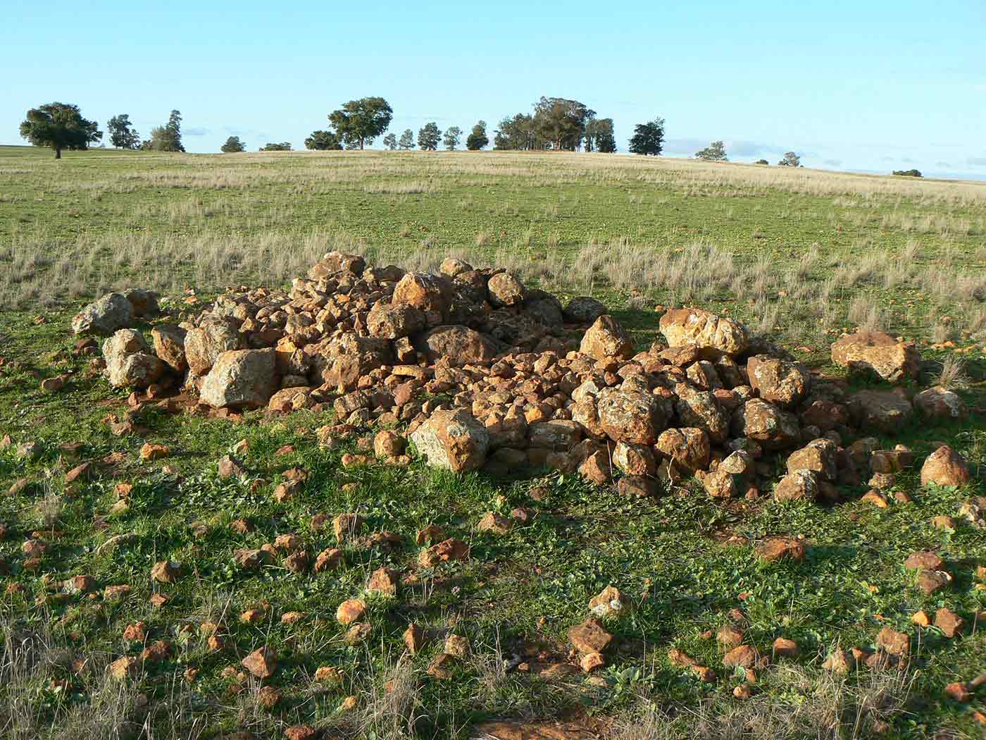 A pile of rocks in a grassy paddock.