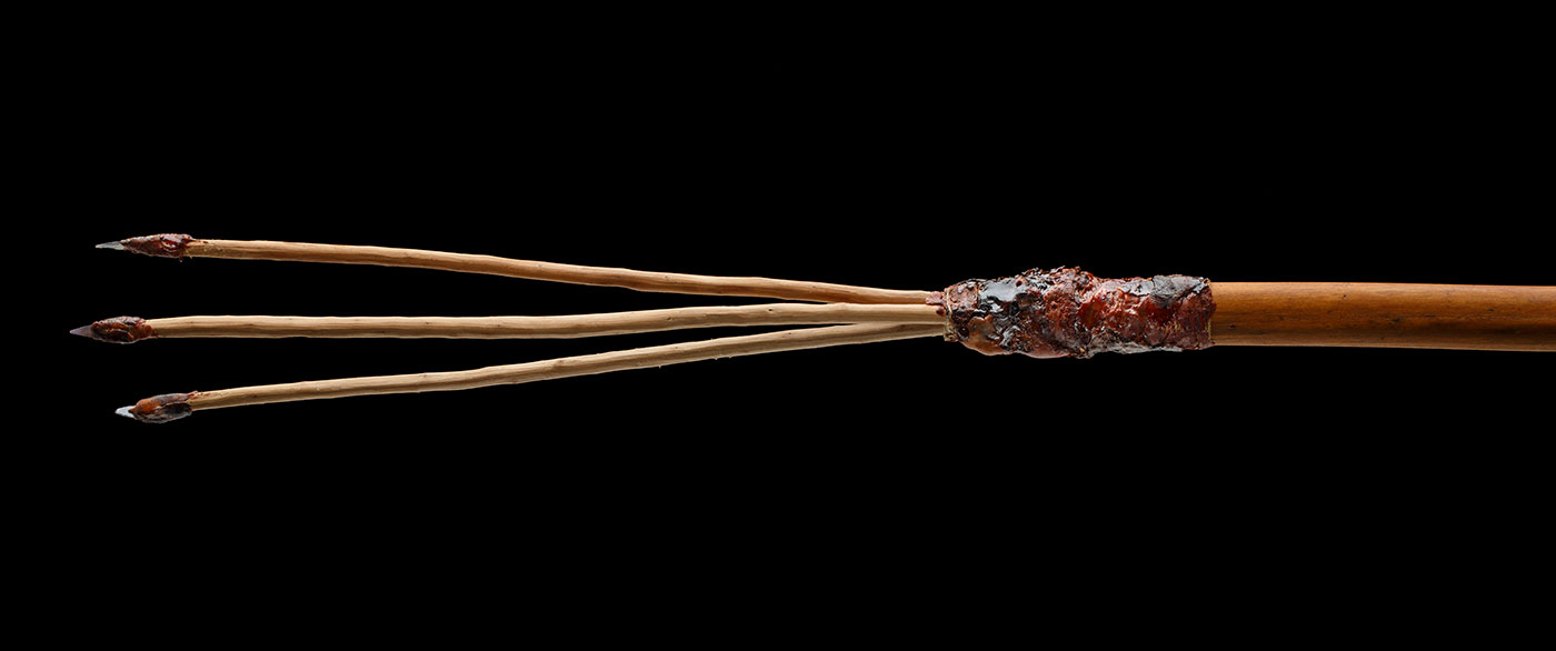 A gararra or fishing spear, with three wooden prongs fixed in place with kangaroo sinew and gum, each with a mussel shell point.
