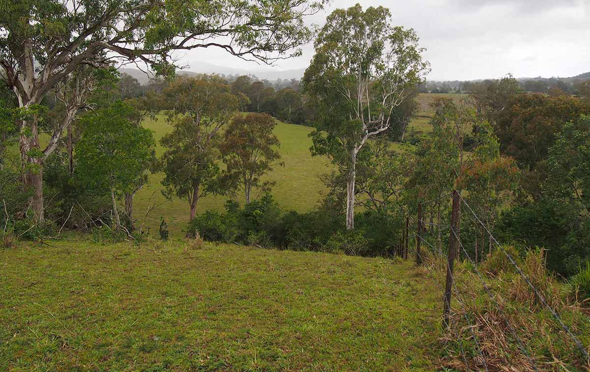 Green undulating landscape, with low grass in the foreground, trees in the distance and a pale grey sky. A wire fence runs along the right side.