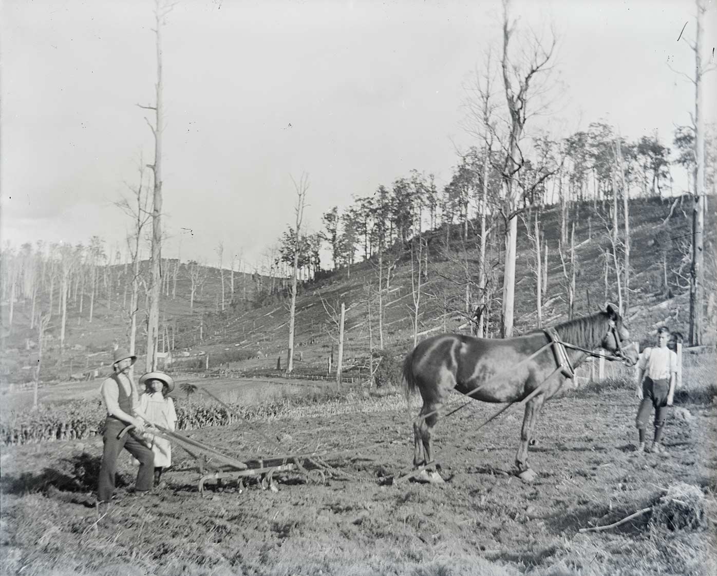 Black and white photo of a man tending a horsedrawn plough. A girl stands beside the man. Many dead trees stand on hills in the background.