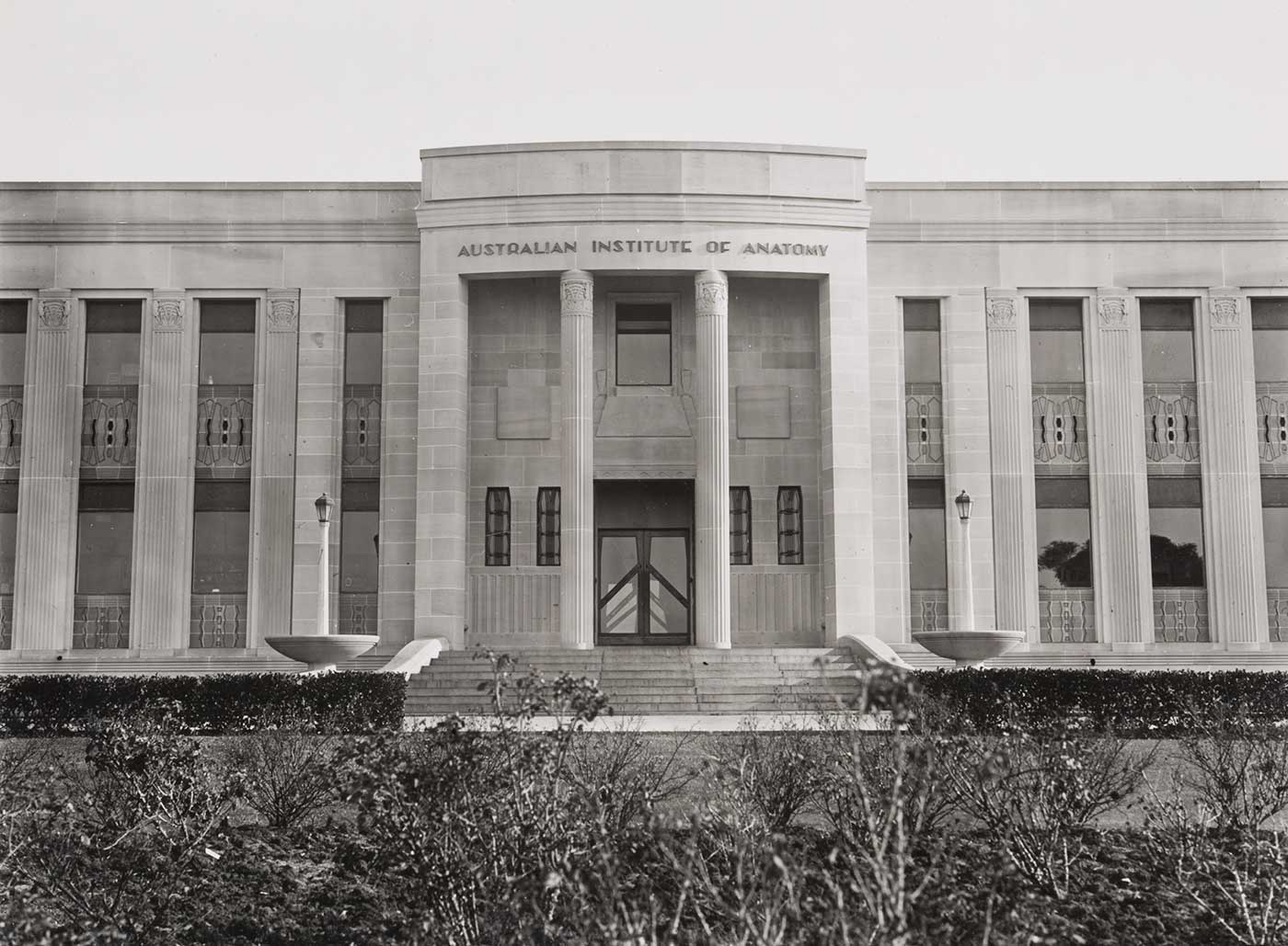 The Australian Institute of Anatomy building. The two storey building is seen from the front. Much of the imposing facade with its half-square columns and central entrance is visible. The columns have windows and designed panels between them. At the centre of the photograph are the main doors, whose dark timber is in contrast to the light tones of the sandstone facade. The doors are small in contrast to the two large columns in the round on either side of the entrance. None of the building's roof is visible as it has a flat roof which is hidden by the top of the facade. In the photograph foreground is a garden bed with some flower bushes.