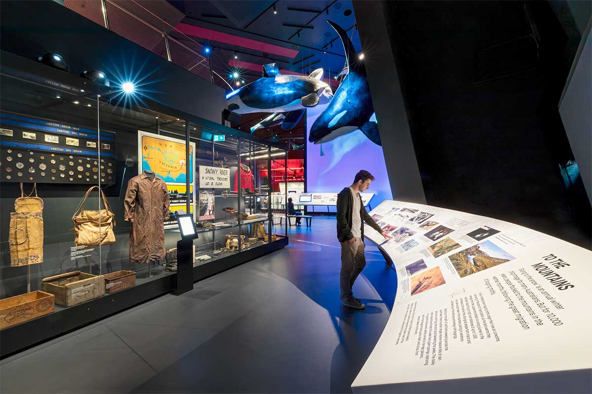 A photo of a person standing in the Museums Great Southern Land gallery. The person is reading an exhibition label, behind them is a show case with collection objects and two large life size whales hang from the ceiling.