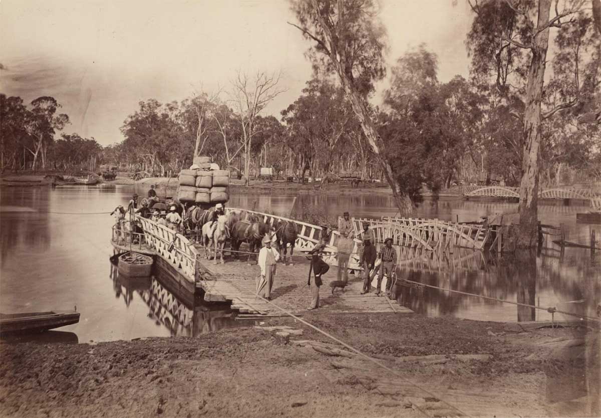 Black and white image showing a wooden vessel moored to a riverbank with ropes. Several horses and a wagon loaded with bales are at the rear of the punt. Various people are standing on the punt and there are many gum trees lining the river.