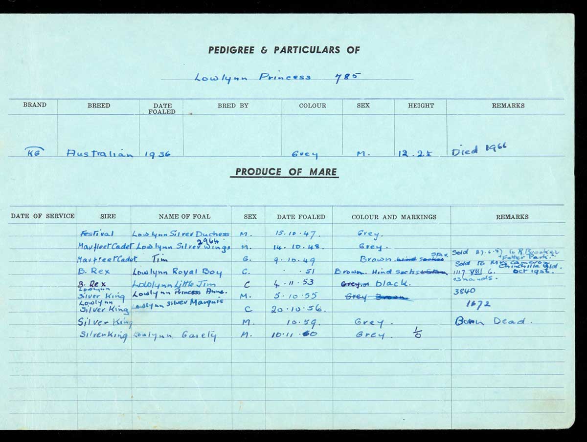 Page from the Lowlynn pony studbook, for Lowlynn Princess, 1925-1998.