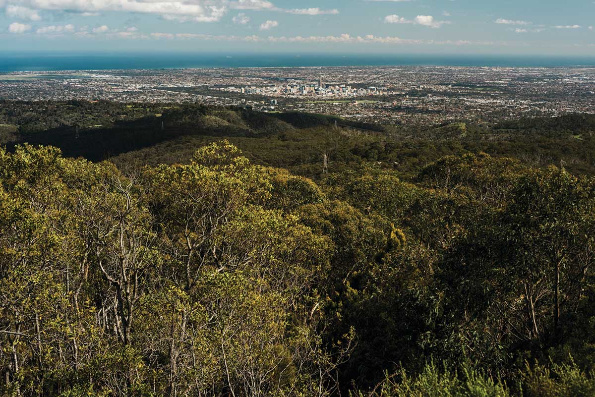 A view of the town of Adelaide.