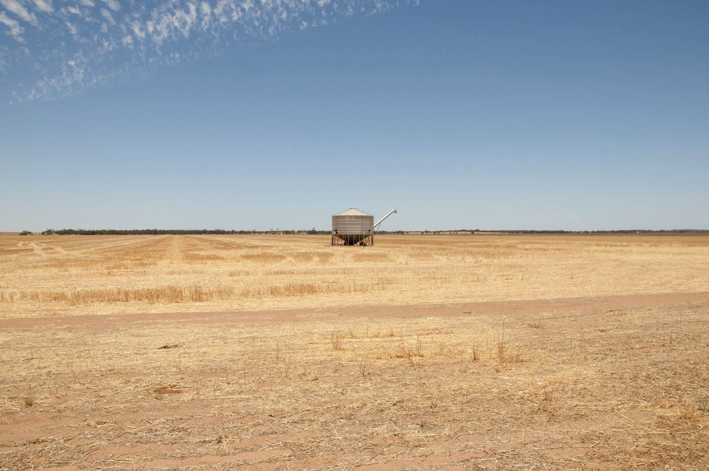 Farming country near Carnamah.