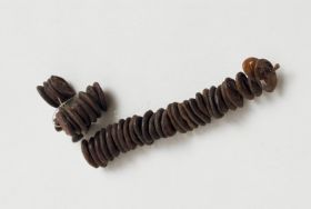Necklaces (fragments) tuinga kahoa Necklace consisting of brown oval seeds and white snail shells.