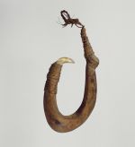 Fishhook Large fishhook made of brown hardwood with the point made of mother-of-pearl that is secure with plaited coconut fibres.