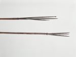 224.jpg Fishing spears made of a dark brown bamboo tube, with a three-part point made of a dark wood at the ends, attached with finely plaited coconut fibres.