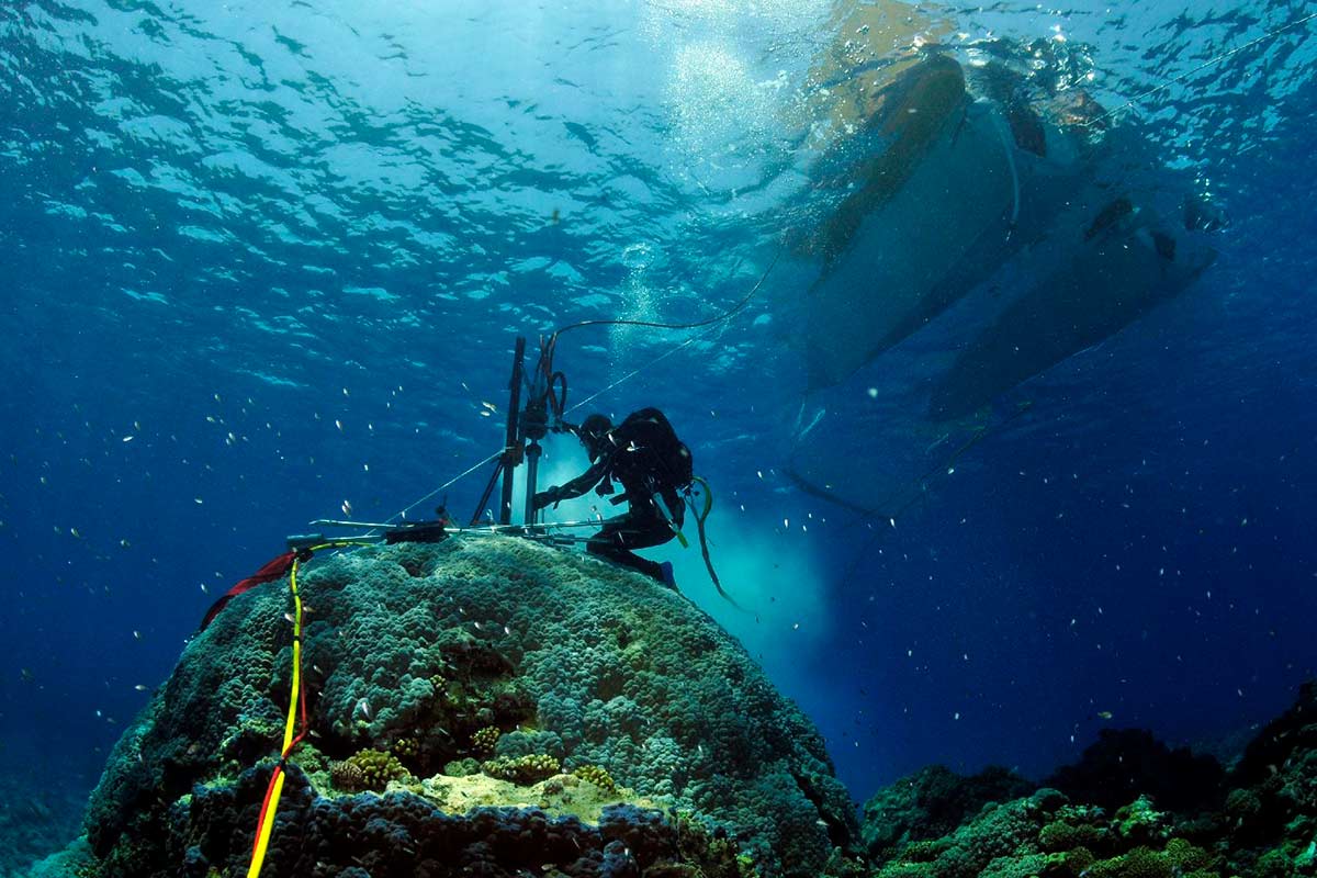 A diver taking a coral core drilling