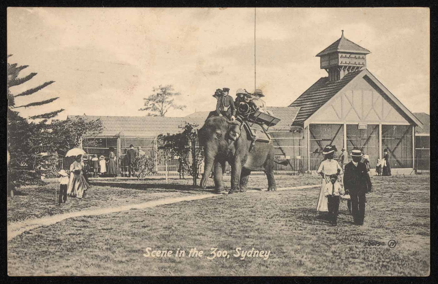 A black and white photograph titled 'Scene in the Zoo, Sydney'. An elephant carrying several people on its back is at centre, with people looking at bird aviaries in the rear. Several other people stroll across a lawn.