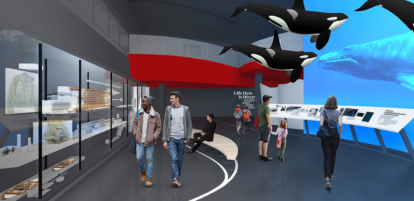 Artists impression of a gallery space, with several large killer whale sculptures suspended from the ceiling, and various people looking at objects and a screen showing footage of a whale.