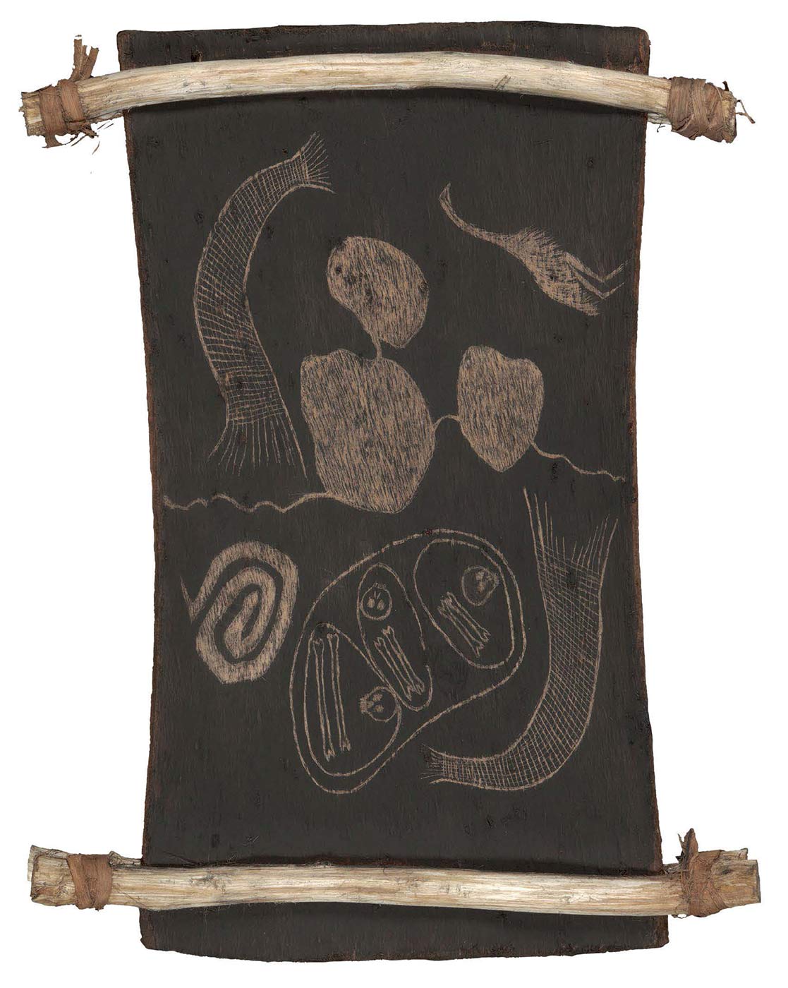 Bark etching.