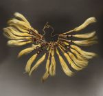 148.jpg Tufts of dog hair bundled together into twenty-two tassels and wrapped with fine coconut fibre threads on three strings made of light and medium brown and black plant fibres.