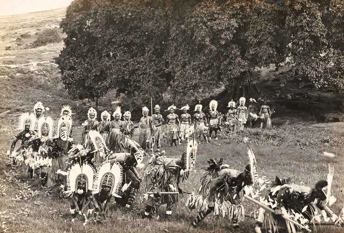 Procession of Torres Strait Islander dancers in elaborate traditional costumes.