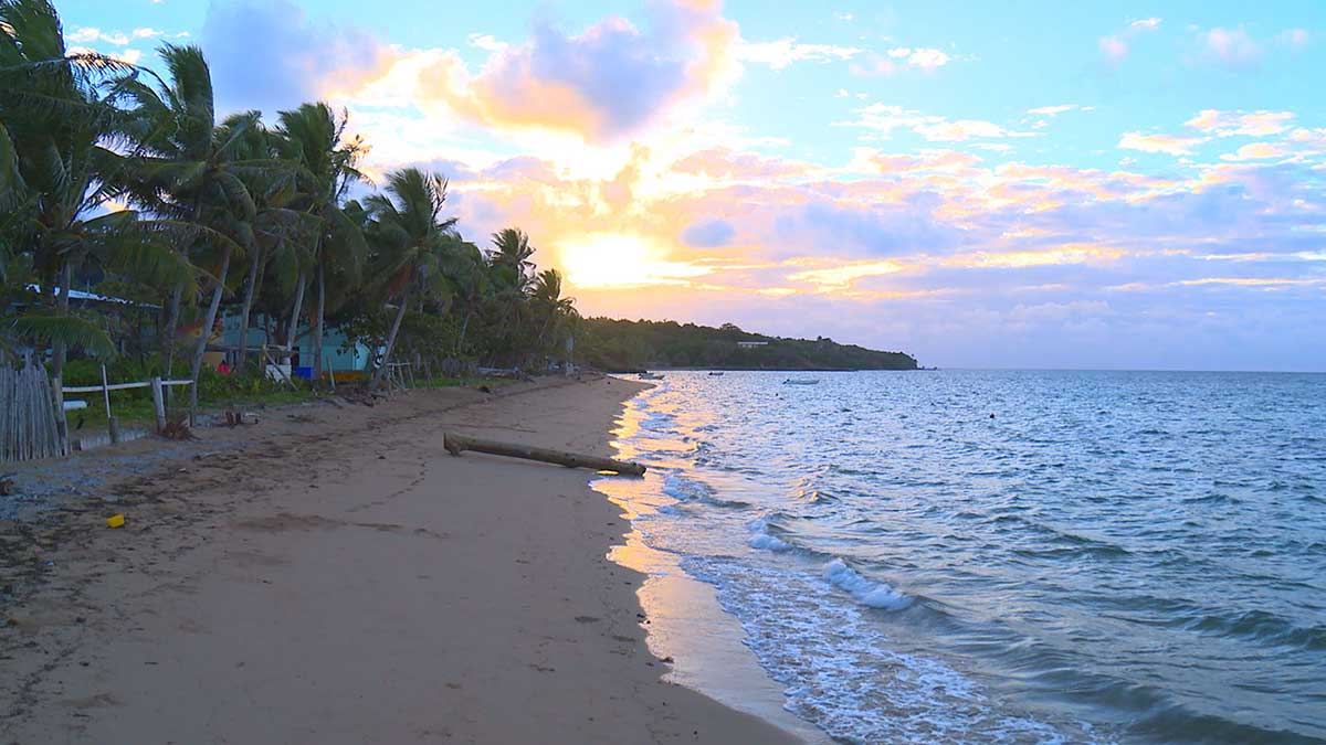 A colour photo of a section of the coastline around Erub (Darnley Island), Torres Strait.