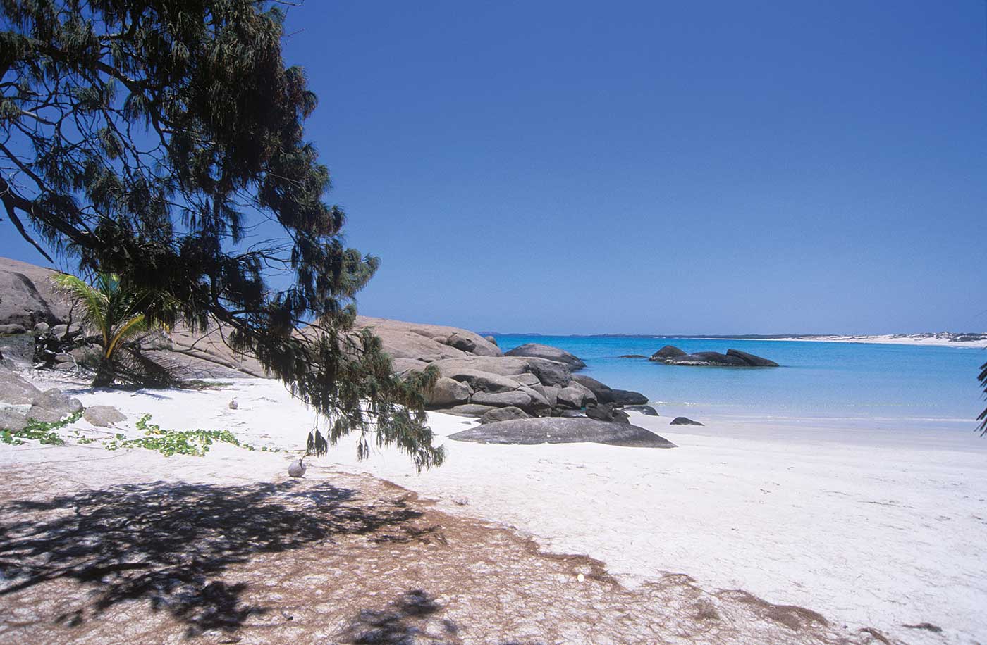 A colour photograph of a beach. At the left of the photograph, part of a tree hangs down toward the sand. In the middle distance are some smooth rocks. Beyond them and to the right is the ocean, with isolated rocks emerging from it. Near the horizon on the right is what appears to be another beach. The clear blue sky dominates the top half of the photograph.