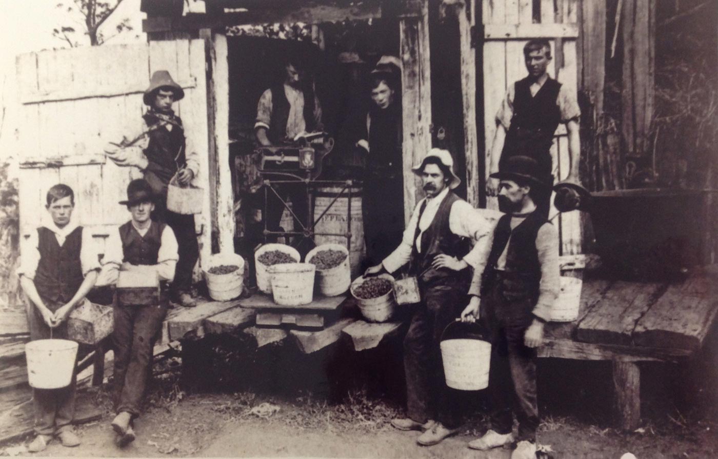 A black and white photo of eight men, most of them holding buckets of berries.