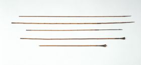 Arrows ngahau Five reed or bamboo arrows with hardwood points.