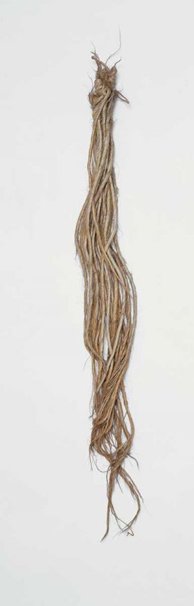 Flax sample harakeke Flax sample of twenty twisted cords, ending in loose strands, knotted together at the upper edge and held together by a thin band.