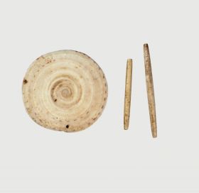 Pendant shell Ki’i teunga kahoa round flat pendant made of a large volute shell perforated at the upper edge.