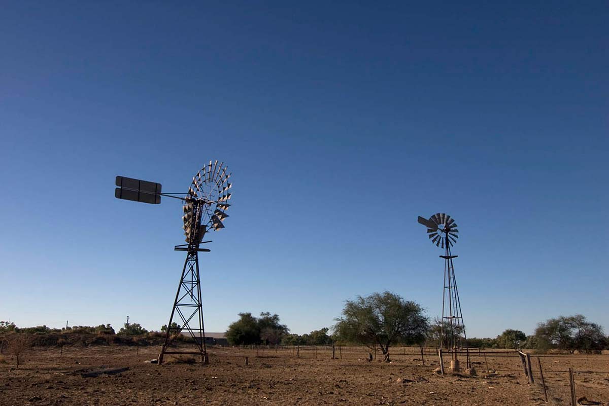Landscape image showing two windmills, with a small dam to the left, grazing land at the front, scrub on the horizon and a clear blue sky.