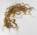 Flax sample harakeke A bundle of twisted flax strands consisting of twelve individual strands.