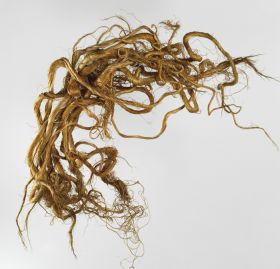 Flax sample harakeke A bundle of twisted flax strands consisting of twelve individual strands.