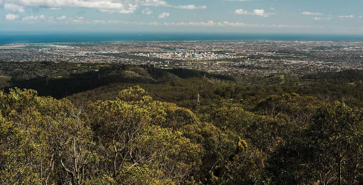 Landscape photo from above, showing gum trees in the foreground, a city and the ocean in the distance.