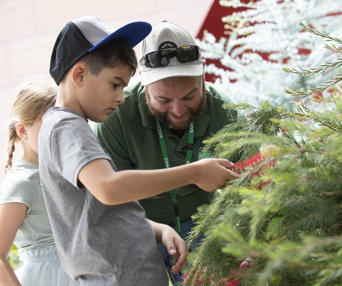 A man and two children look at a plant.