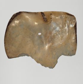 Clappers tete Mother-of-pearl shell used as part of a pair of clappers or castanets.