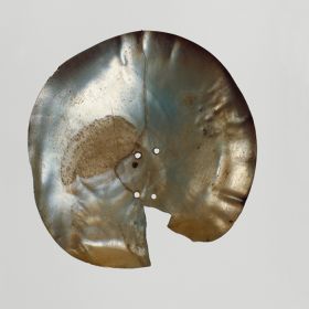 Clappers tete Mother-of-pearl shell used as part of a pair of clappers or castanets.