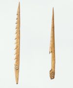 Harpoon point kaheita Left image: Harpoon point or fish spear made of possibly whalebone, with ten barbs on one side. Right image: Also a harpoon point made of whalebone, with only one barb.