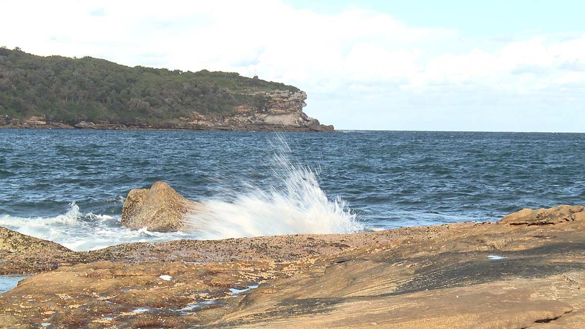 Coastal area featuring tree covered cliff edge in background and waves splashing onto rocks in foreground.