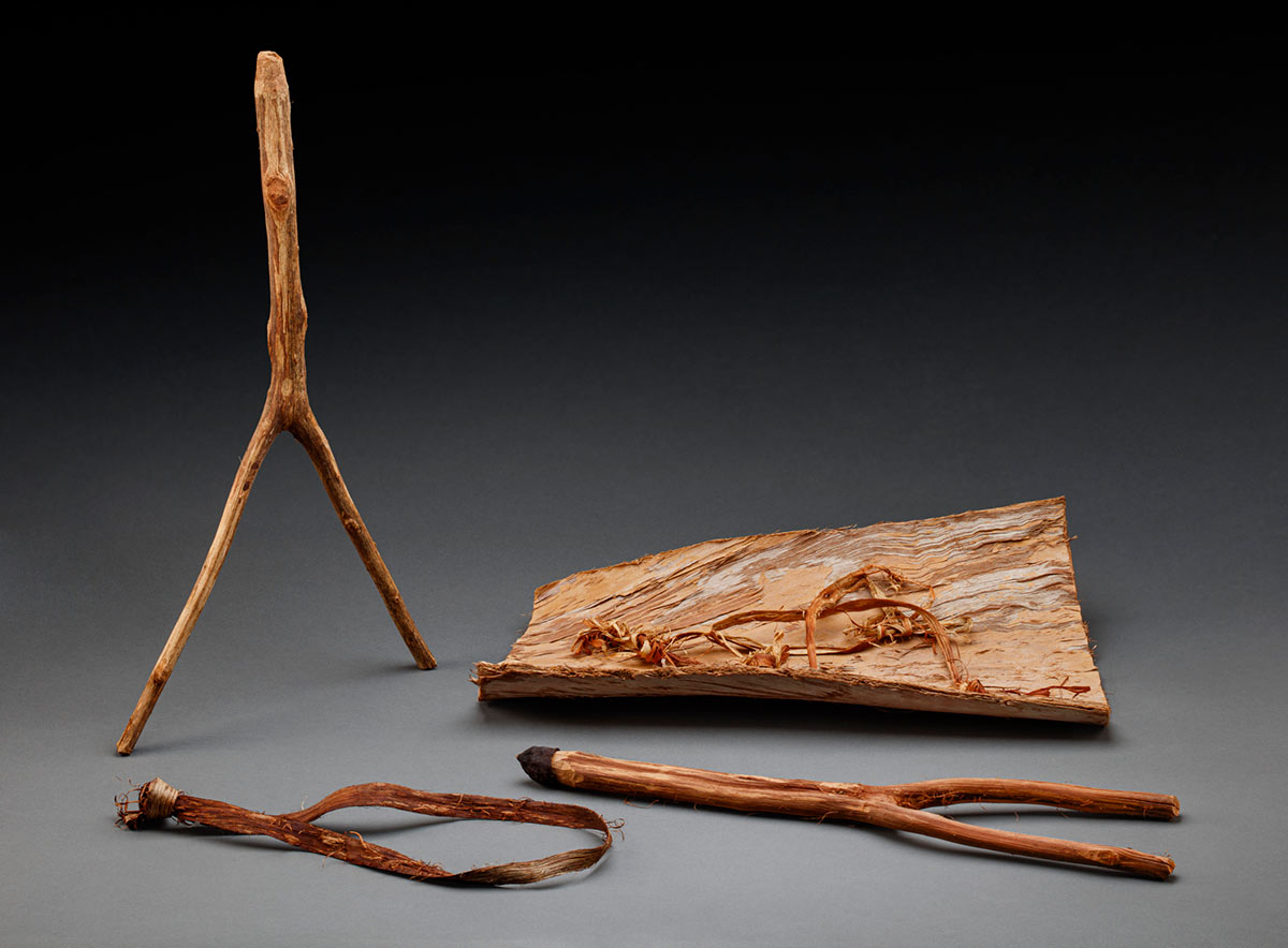Several wooden objects which have been trimmed and shaped.