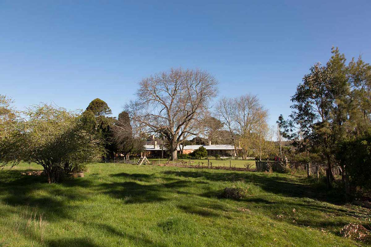 A photo of very green, fertile land with a homestead in the background surrounded by a variety of trees and fences. The sky is blue and cloudless.