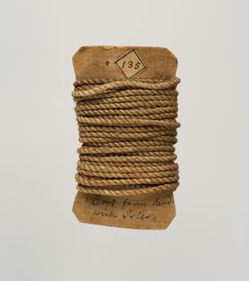 129.jpg Cord, beige-brown in colour, made from plant materials and twisted.