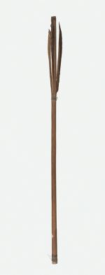 Shaft of an arrow Short arrow made of fir wood, feathered, and pointed with bone having two barbs and also an additional point made of a blue slate ground very sharp.