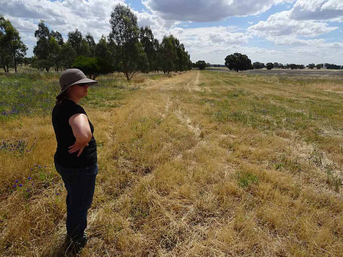 A woman stands in a paddock, with a row of trees on the left.