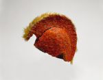 311_b.jpg Feathered helmet that consists of wicker-work to which red, yellow, and black feathers are attached. A crest on the outer surface extends from the front to the back of the helmet.