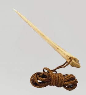 Ray sting foto Spearhead made from the backbone of a stingray with a plaited band of coconut fibres threaded through a hole at the flattened end.