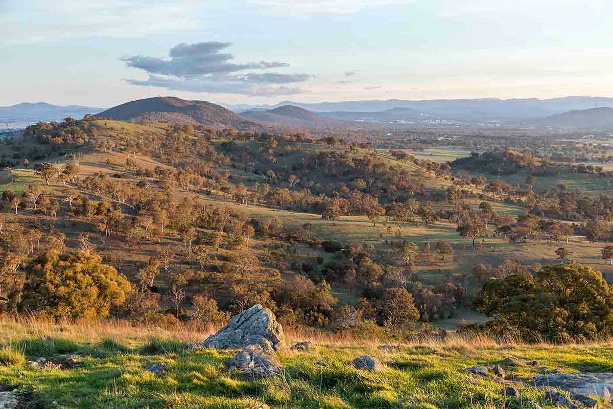 A photo of rolling hills covered with mostly gumtrees. In the foreground are tufts of vibrant green grass with several grey coloured rocks of various sizes.